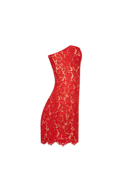 FITTED RED LACE MINI DRESS